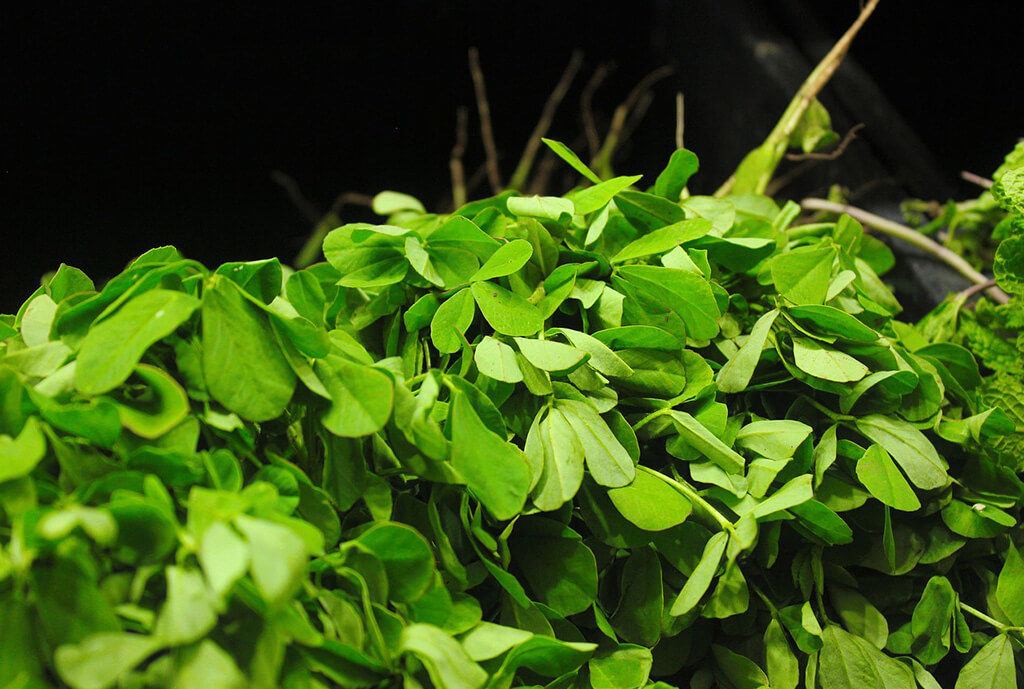 Benefits of Methi
