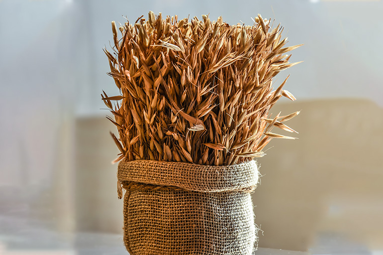 Essential Superfoods - Whole Grain Chips